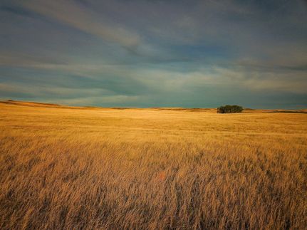 Property in Dawson County, Montana
