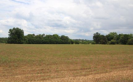 Property in Laurens County, Georgia