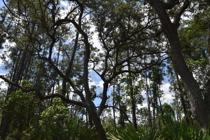 Property in Putnam County, Florida