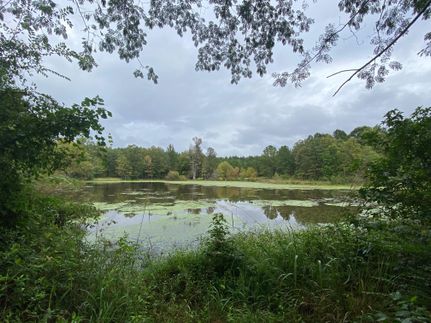 Property in Chambers County, Alabama