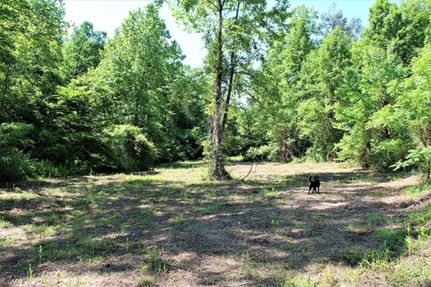 Property in Wolfe County, Kentucky