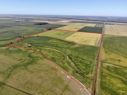 Property in Pemiscot County, Missouri