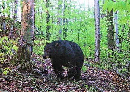 Property in Delaware County, New York