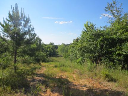 Property in Covington County, Mississippi