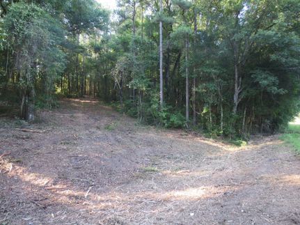 Property in Marion County, Mississippi