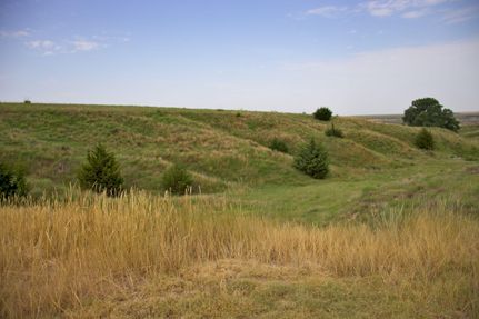 Property in Ness County, Kansas