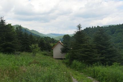 Property in Washington County, Virginia