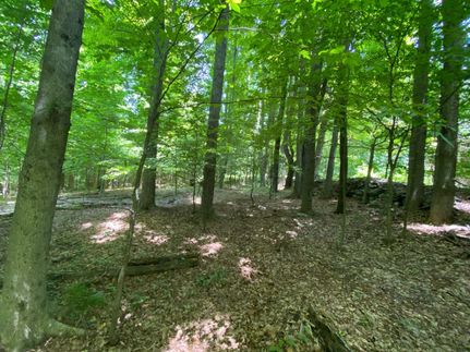 Property in Wayne County, Pennsylvania