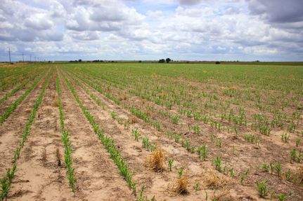 Property in Ellis County, Kansas