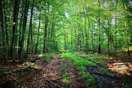 Property in Chautauqua County, New York