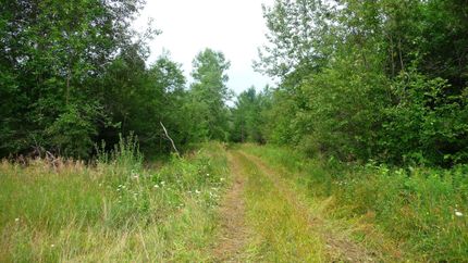 Property in Arenac County, Michigan