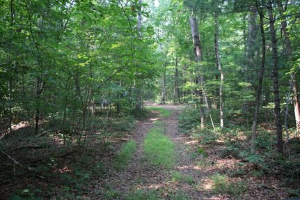 Property in Page County, Virginia