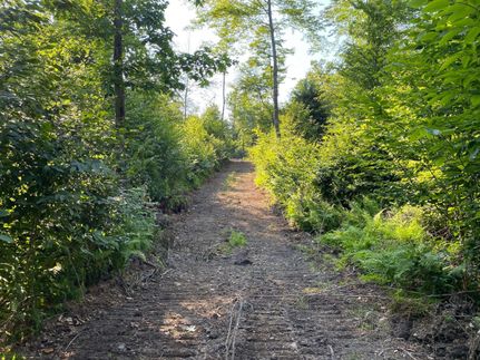 Property in Warren County, Pennsylvania