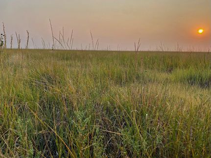 Property in Kiowa County, Colorado