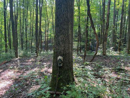 Property in Mercer County, Pennsylvania