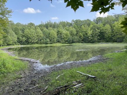 Property in Barron County, Wisconsin