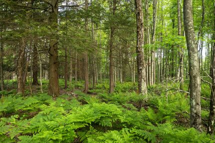 Property in Oceana County, Michigan