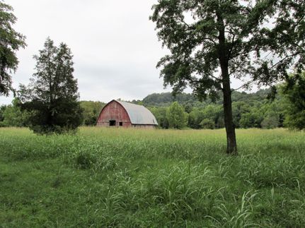 Property in Hancock County, Kentucky