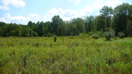 Property in Midland County, Michigan