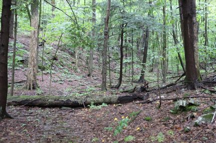 Property in Saratoga County, New York