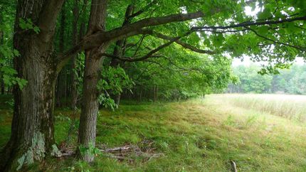 Property in Osceola County, Michigan