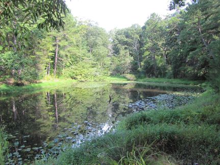 Property in Durham County, North Carolina