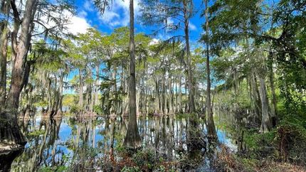 Property in Harrison County, Texas