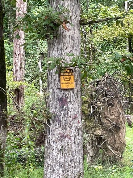 Property in Winn Parish, Louisiana