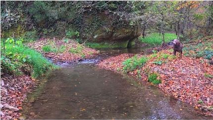 Property in Allamakee County, Iowa