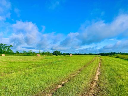 Property in Laurens County, Georgia