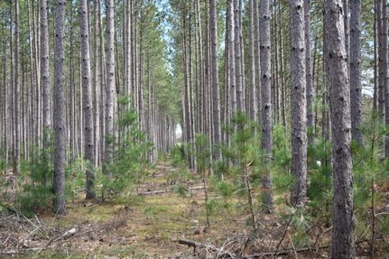 Property in Oconto County, Wisconsin