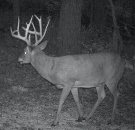 Property in Marshall County, Kansas