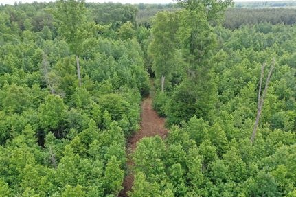 Property in Louisa County, Virginia