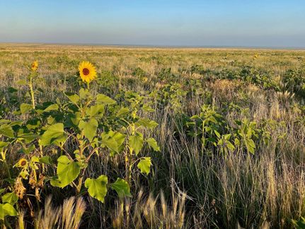 Property in Bent County, Colorado