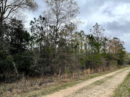 Property for sale in Polk County, Texas