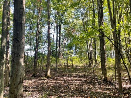 Property in Orleans County, New York