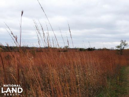 Property in Saunders County, Nebraska
