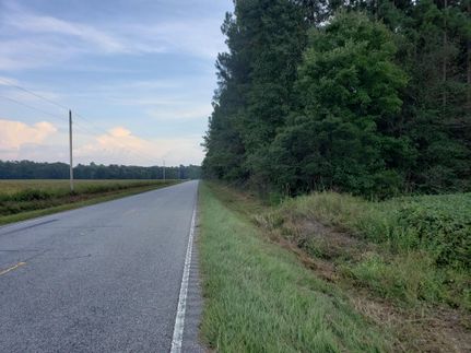 Property in Williamsburg County, South Carolina
