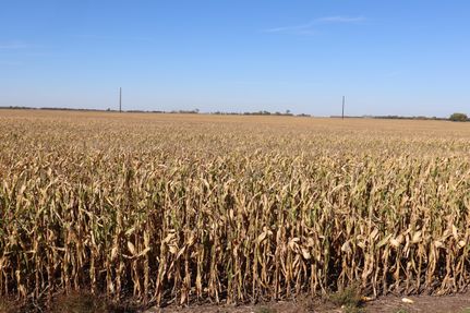 Property in Dickey County, North Dakota