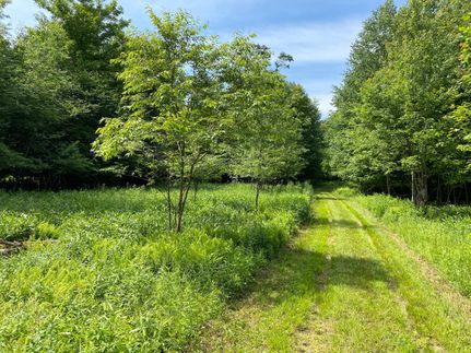 Property in Forest County, Pennsylvania