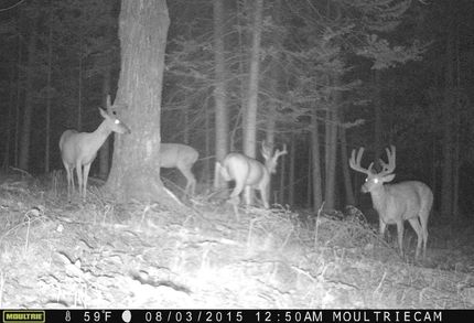 Property in Shawano County, Wisconsin