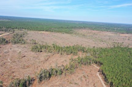 Property in Tangipahoa Parish, Louisiana