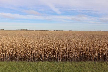 Property in Polk County, Minnesota