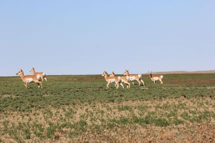 Property in Phillips County, Montana