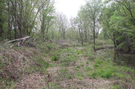 Property in West Carroll Parish, Louisiana