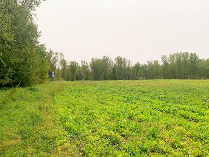 Property in Chippewa County, Minnesota