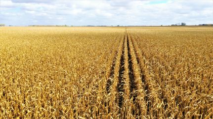 Property in Kingsbury County, South Dakota