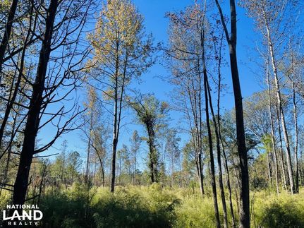 Property in Scotland County, North Carolina