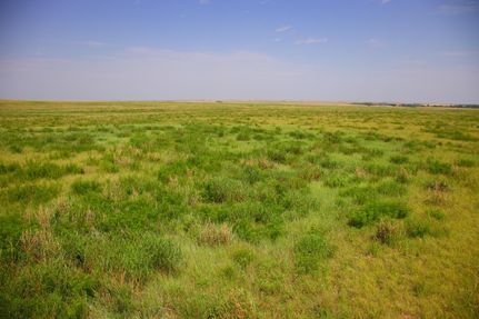 Property in Ness County, Kansas