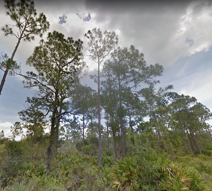 Property in Highlands County, Florida